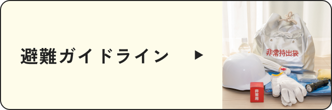 内閣府 避難情報に関するガイドライン